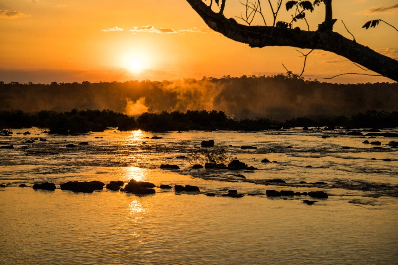 Pôr do sol nas Cataratas do Iguaçu, com o sol se pondo no horizonte e suas luzes douradas refletindo nas águas do rio, enquanto uma árvore aparece em silhueta ao lado direito da imagem.
