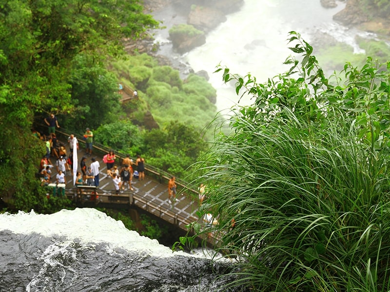 Vista de um mirante nas Cataratas do Iguaçu, com visitantes apreciando a paisagem e a vegetação exuberante ao redor, destacando as trilhas e pontos de observação em Foz do Iguaçu.