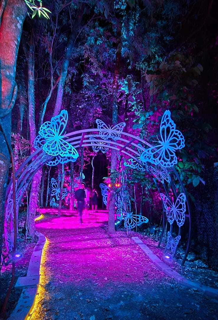 Trilha mágica no Lumina Park, decorada com arcos enfeitados por borboletas iluminadas em tons de azul e roxo, criando um efeito encantador. O caminho é envolto por uma luz rosa vibrante que realça a vegetação ao redor, oferecendo aos visitantes uma experiência imersiva e fascinante em meio à natureza iluminada.