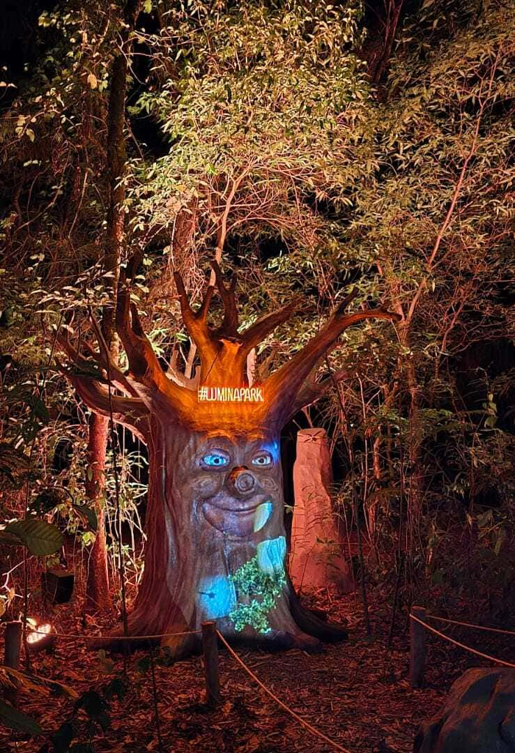 Árvore encantada com rosto expressivo, iluminada em meio à floresta. Com uma expressão amigável e detalhes em luzes coloridas que destacam seu tronco, a árvore parece ganhar vida, criando uma atmosfera mágica e lúdica, que convida os visitantes a explorar o ambiente de fantasia ao seu redor.